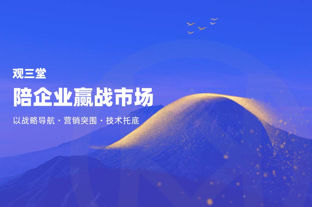 以战略导航、营销突围、技术托底，陪企业赢战市场